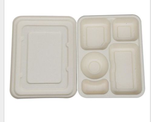 5 Doos van de net de Beschikbare Lunch met Deksel, Tarwe Straw Biodegradable Lunch Box