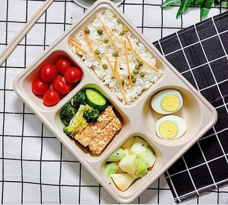 5 Doos van de net de Beschikbare Lunch met Deksel, Tarwe Straw Biodegradable Lunch Box