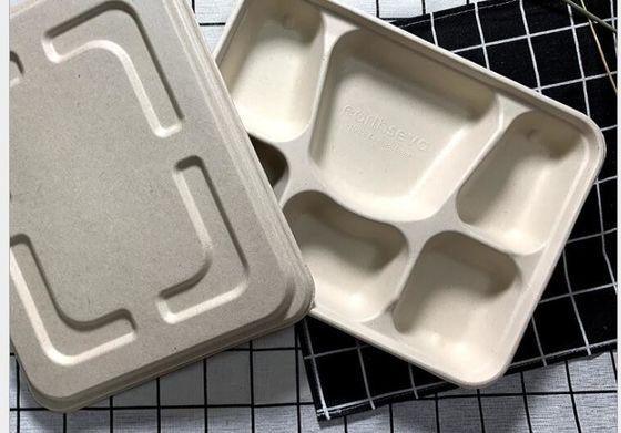 FDA 6 Tarwe Straw Disposable Lunch Box van het Compartimenten de Chemisch afbreekbare Vaatwerk