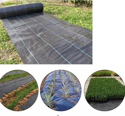 Duurzaam zwaar werkbaar Hoogpermeabiliteit Tuinbouw onkruiddoek Geweven anti-gras grondbedekking onkruid mat