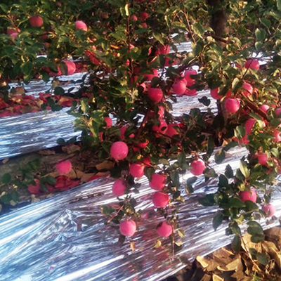 Metalen PE CPP BOPP-drukfilm voor reflecterende landbouw en drukverpakkingen