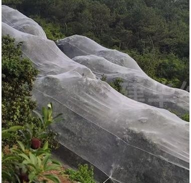 Groen op maat gemaakt insectenbeschermingsnet voor vruchtbomen groentetuinen Huisfabriek