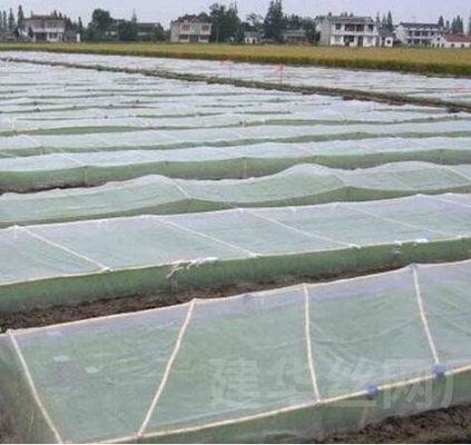 Groen op maat gemaakt insectenbeschermingsnet voor vruchtbomen groentetuinen Huisfabriek