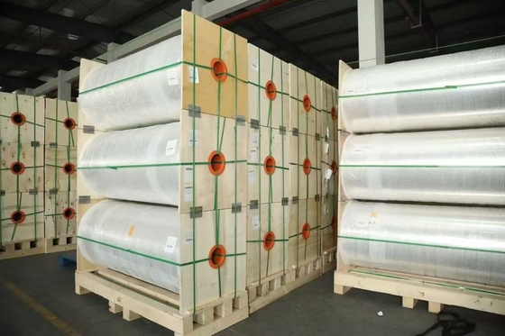 Warmtevergrendeling Sterke CPP-aluminiumplasterfilm voor instantnoedels, aardappelchips, koekjes zak