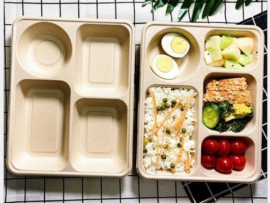 Net vier die Beschikbare Lunchdoos, Biologisch afbreekbare Meeneemlunchdoos verpakken