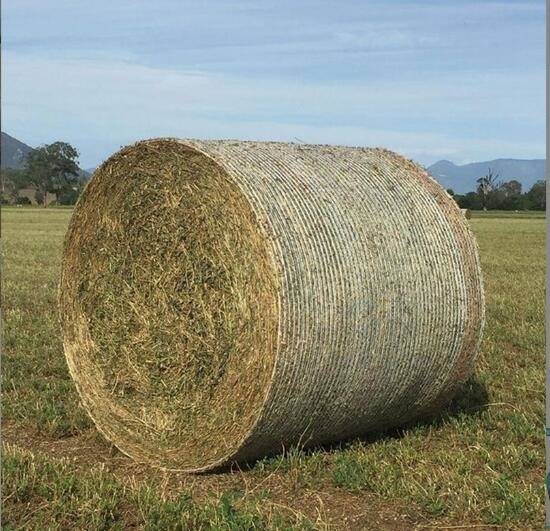 PE Plastic Landbouw Ronde Maïsbal Net Silage Voedervoer Net Strooi Bal Net Baler Speciaal